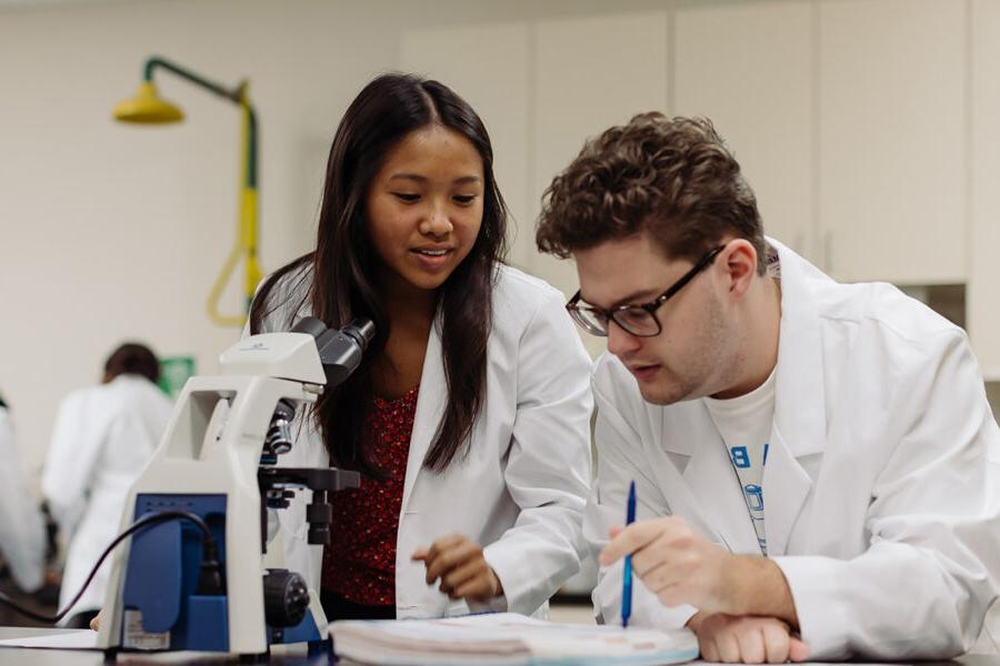 两个生物学学生在实验室里用显微镜观察一个标本